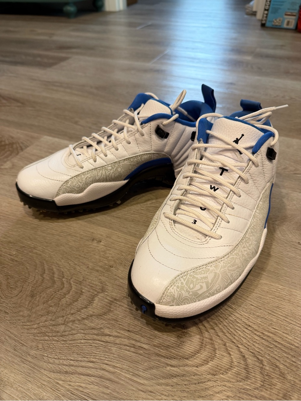 Men’s Nike Jordan 12 Golf Shoes